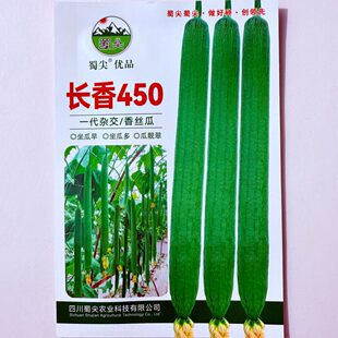 长香450丝瓜种子高产杂交早熟翠绿油亮强雌丝瓜种籽春秋季播