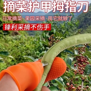 剥花生壳手套摘花椒神器专用手套采摘铁指甲套摘菜器掐菜摘豆角农