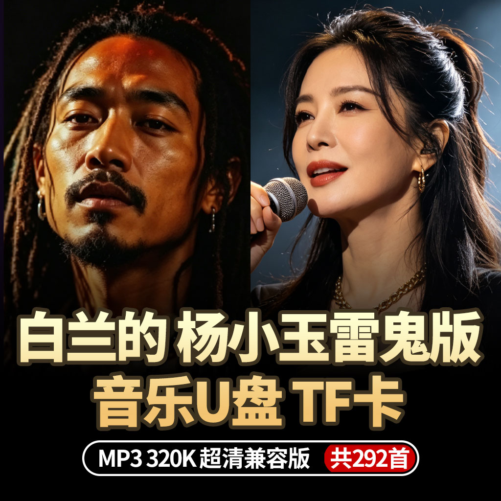 白兰的杨小玉雷鬼版精选292首车载音乐U盘
