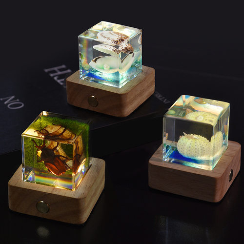 真实昆虫海洋标本琥珀树脂立方体