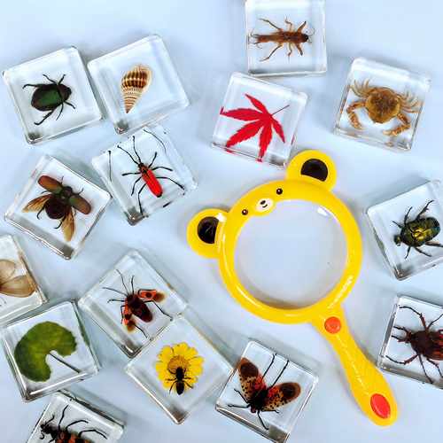 全班创意生日分享儿童奖励奖品