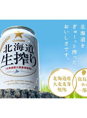 日本进口SAPPORO札幌啤酒三宝乐北海道生啤国内现货发