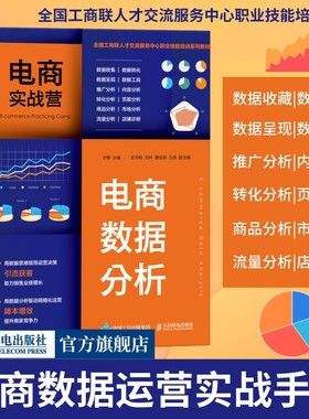电商实战营电商运营从入门到精通