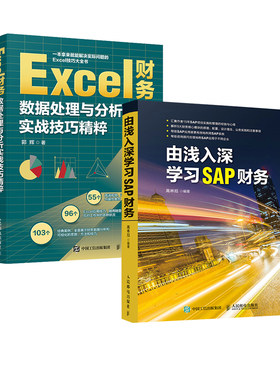会计高手进阶之路 SAP财务入门+Excel财务数据处理实战（套装2册）