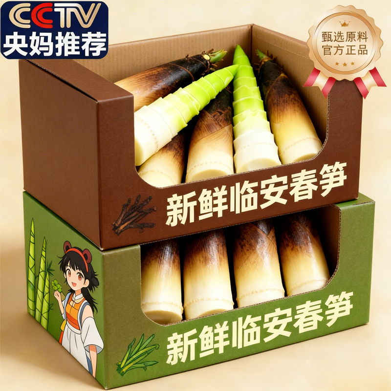 央妈推荐！正宗临安春笋新鲜现挖5斤纯野生天目山春笋官方旗舰店