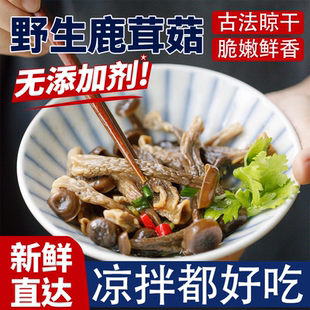 特级鹿茸菇干货鹿茸菌野生菇新鲜农家特产香菇蘑菇煲汤官方旗舰店