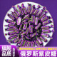 俄罗斯原装 进口直发紫皮糖官方旗舰店夹心巧克力果仁喜糖年货糖果