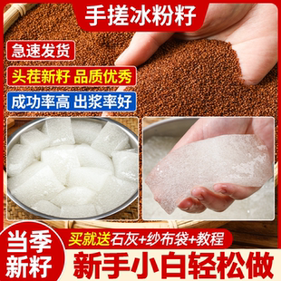 手搓冰粉籽四川手工冰粉材料配料全套冰籽商用家用套餐 央妈推荐