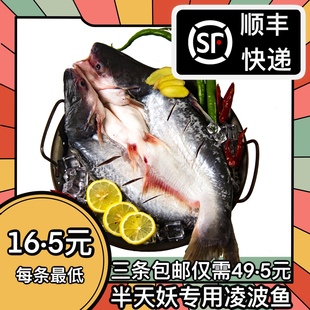 半天妖同款鲜活冷冻水产腌制开背烤鱼巴沙湄公凌波鱼烤鱼商用家庭