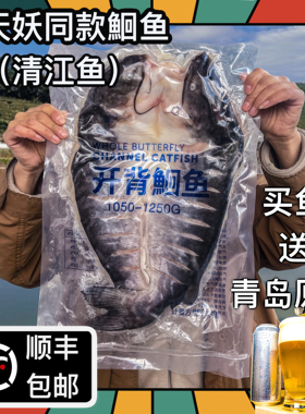 半天妖同款商用淡水鱼鲜活冷冻袋装腌制开背反骨清江鱼叉鮰鱼烤鱼