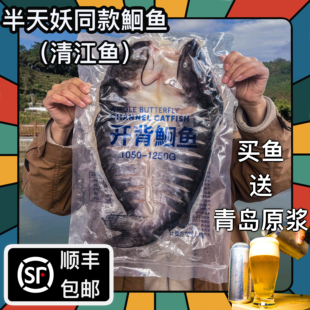 半天妖同款商用淡水鱼鲜活冷冻袋装腌制开背反骨清江鱼叉鮰鱼烤鱼