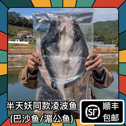 顺丰包邮半天妖同款凌波鱼
