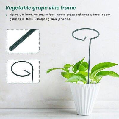 H-W 8PCS Beautiful Plant Support Stand Flowers Support Ring