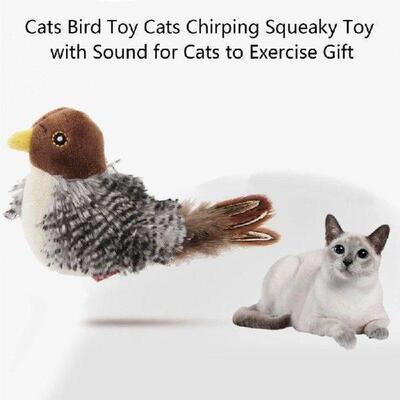 Kitten Chew Toy Squeaky Toy Teething Soft Cats Toy Chirping