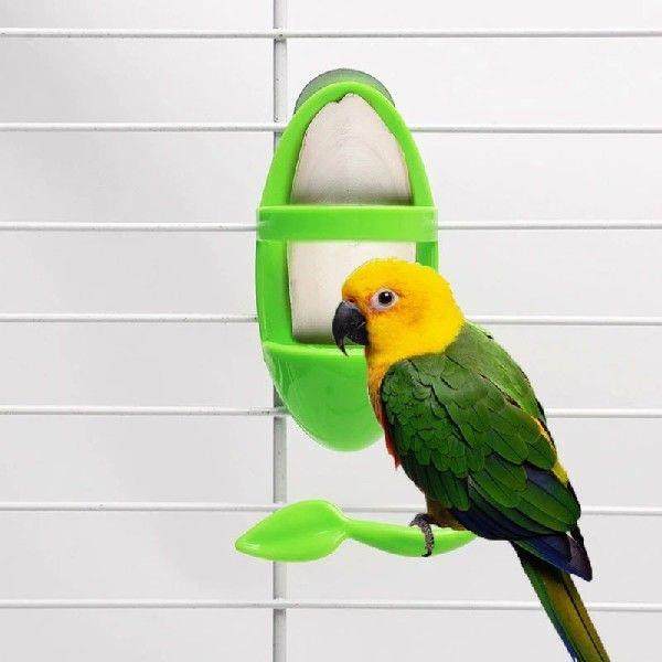 1Pc Bird Cage Feeding Holder Bird Cuttlebone Holder