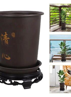 Orchid Pot Base Set Tall Pots for Indoor Plants Cymbidium