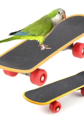 Bird Toy Fun Mini Skateboard Parrot Toy Training Skateboard
