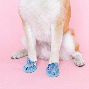 Shoes Summer Hot Pcs Pavement Sole Dog Flexible Mesh