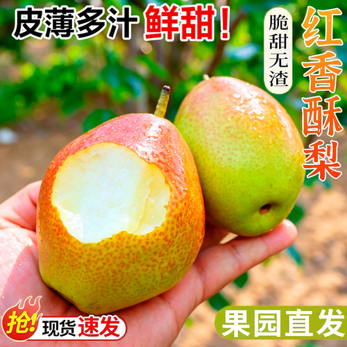 现摘红香酥梨10斤当季梨子新鲜5斤包邮整箱3斤香梨应脆甜多汁时令