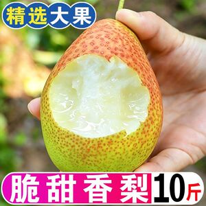 现摘红香酥梨当季水果梨子新鲜整箱香梨应季脆甜美味时令包邮发货