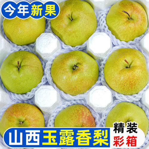 正宗山西玉露香梨特级10斤新鲜水果现摘当季整箱脆甜酥梨丹霞红梨
