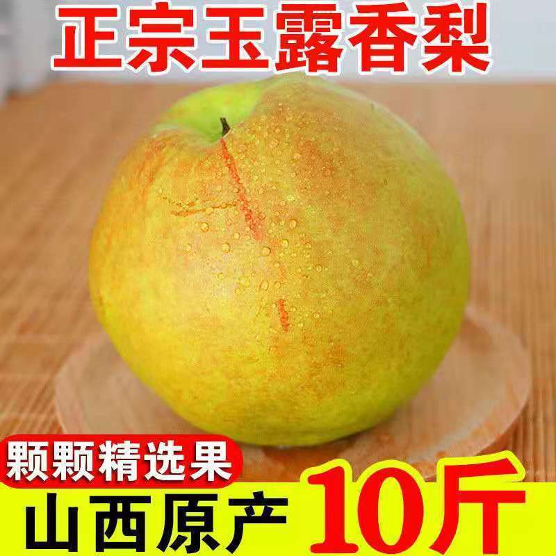山西正宗玉露香梨子脆甜多汁孕妇水果新鲜礼盒装酥梨香梨整箱包邮