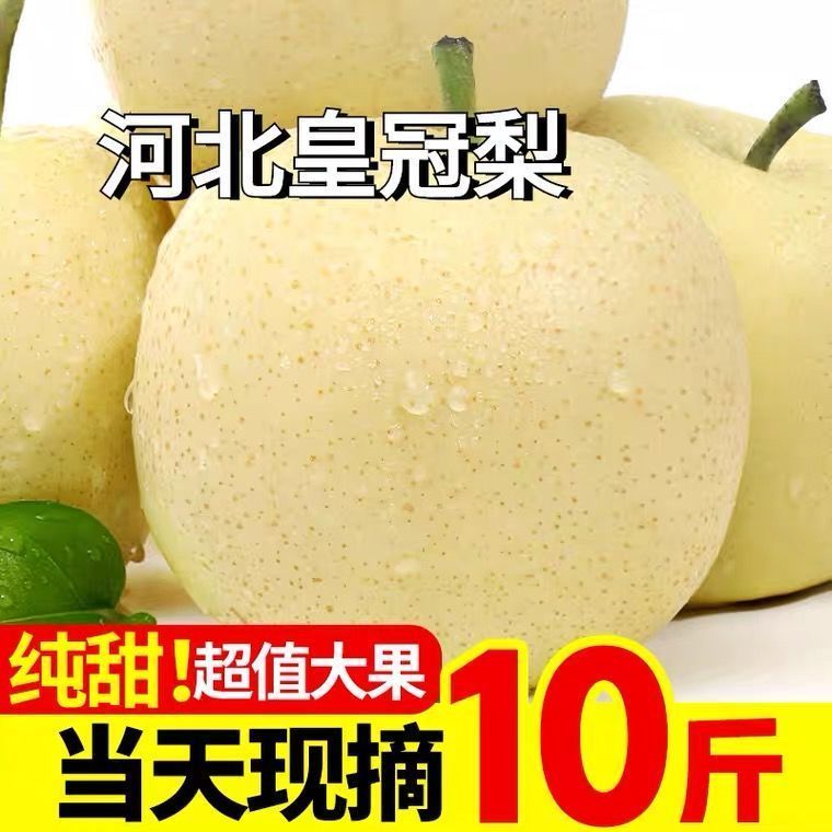 新鲜梨子河北皇冠梨整箱包邮当季脆甜多汁水果现摘砀山皇冠梨雪梨