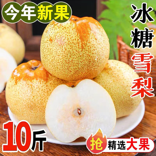 正宗雪梨河北赵县雪花梨子新鲜水果秋梨水熬梨膏当季整箱10斤包邮