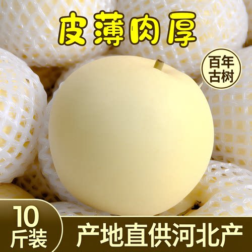 河北皇冠梨子水果新鲜脆甜多汁梨子应季水果雪梨整箱梨子薄皮润肺