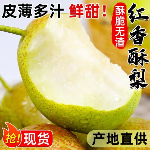 红香酥梨10斤香梨梨子新鲜水果5斤新梨当季整箱酥梨包邮当天现摘