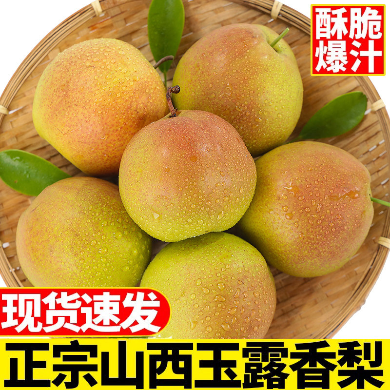 山西玉露香梨新鲜梨子脆冠苹果梨当季现摘水果红酥甜青梨整箱包邮