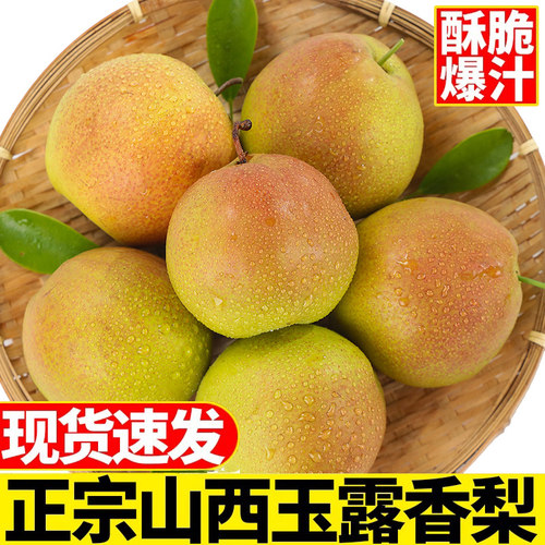 山西玉露香梨新鲜梨子脆冠苹果梨当季现摘水果红酥甜青梨整箱包邮