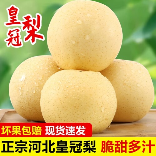 新鲜水果河北正宗皇冠梨整箱包邮黄冠梨子当季现摘砀山皇冠梨雪梨