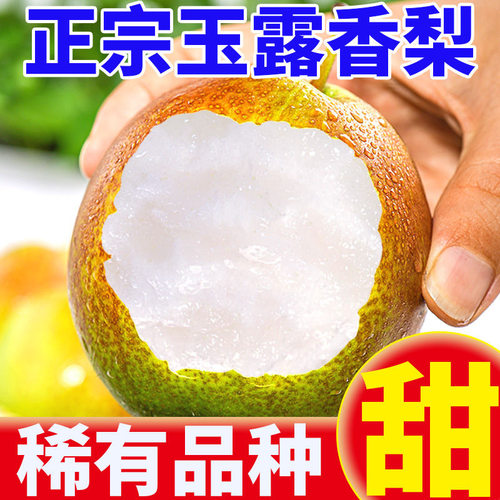 正宗玉露香梨10斤新鲜水果山西脆甜梨子当季现摘酥梨孕妇整箱包邮