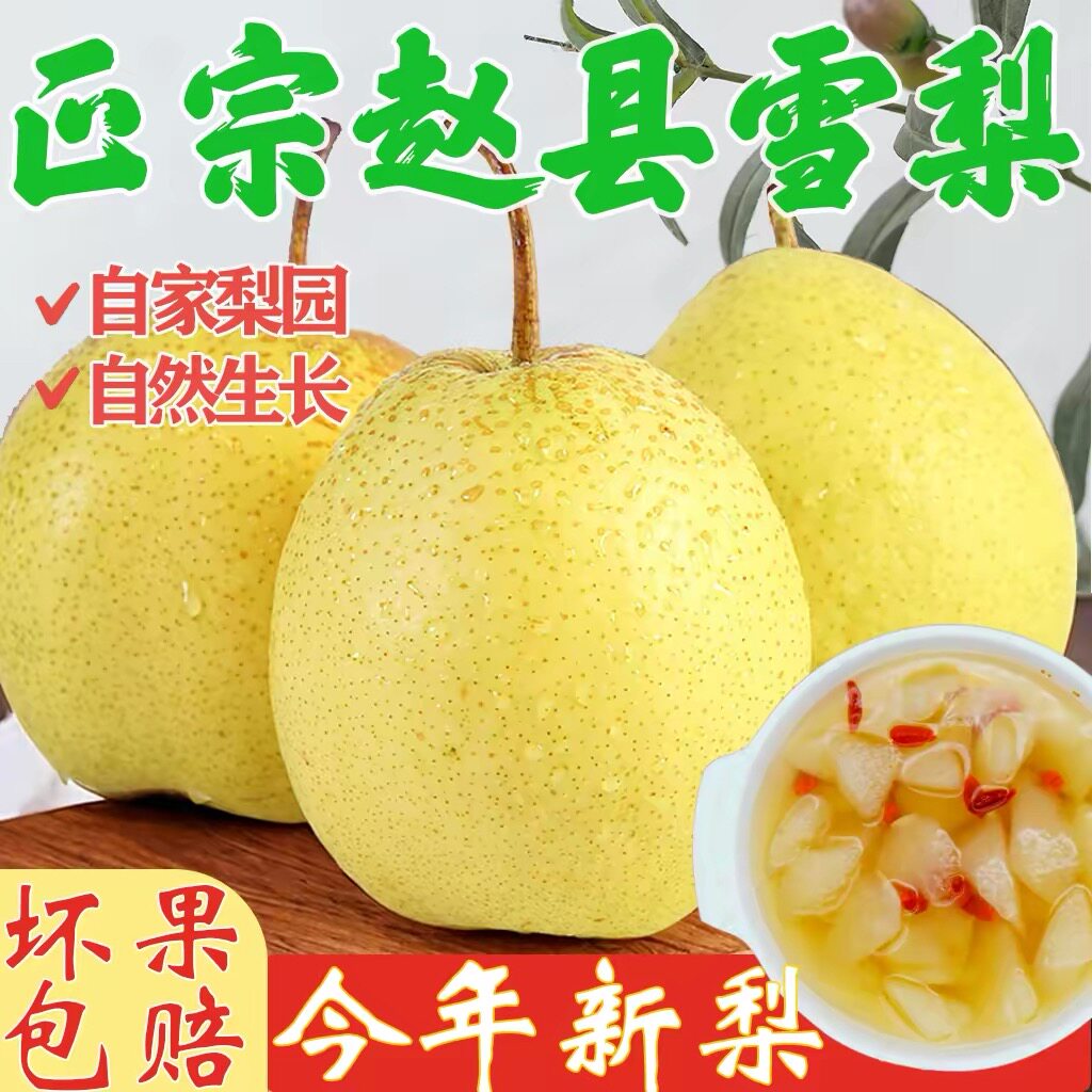 正宗冰糖雪梨新鲜当季梨子应季孕妇水果现发现发整箱包邮秋月水梨