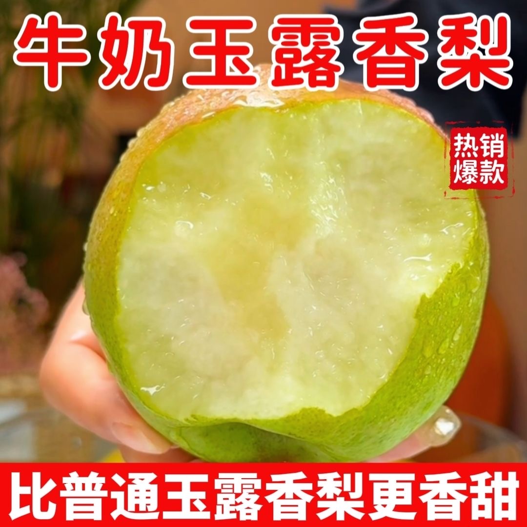 现摘山西正宗玉露香梨新鲜当季水果梨子薄皮酥脆香甜应季整箱包邮
