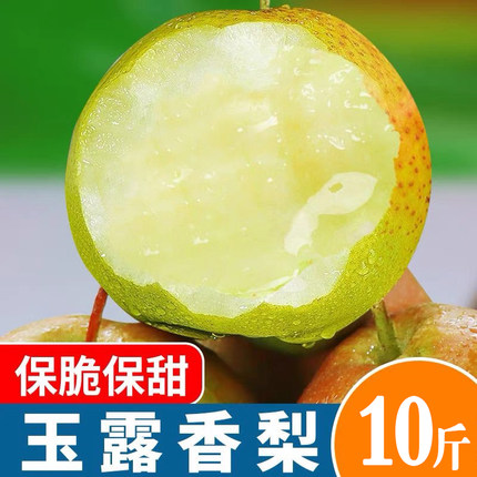 正宗玉露香梨新鲜梨子脆甜多汁薄皮香梨酥梨当季现摘水果整箱包邮