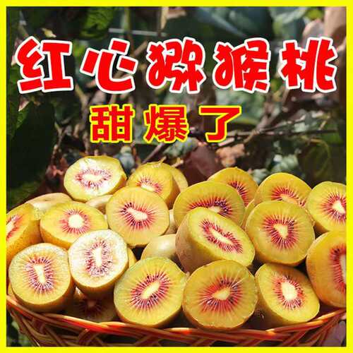 四川新鲜孕妇水果整箱红心猕猴桃