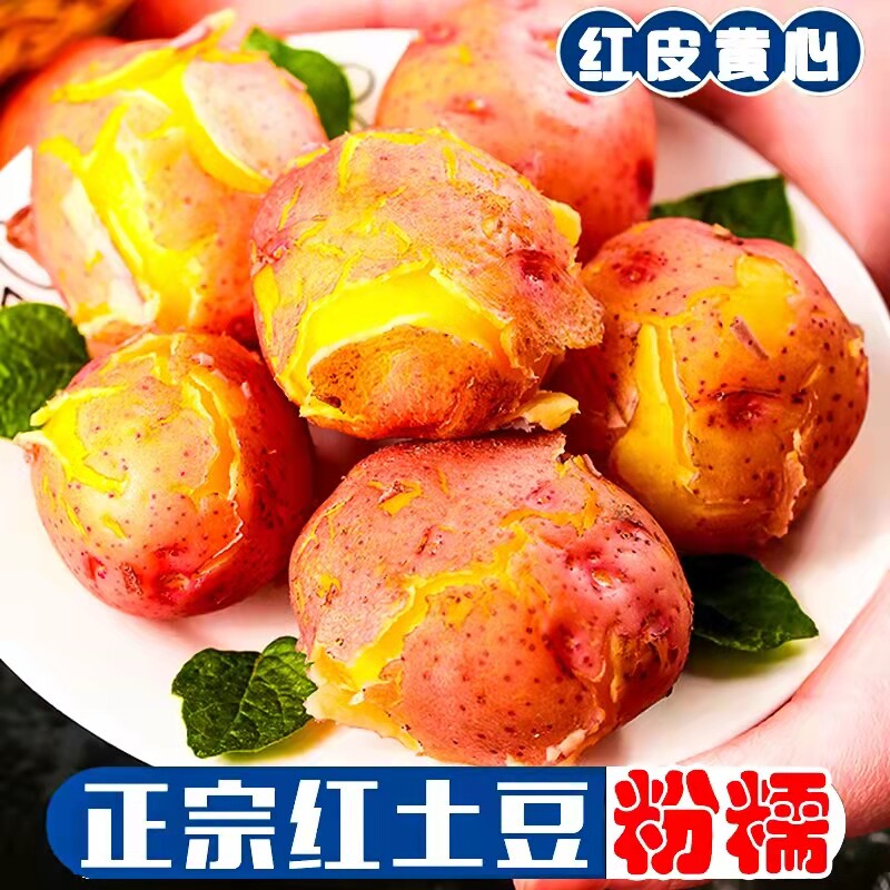 云南红皮黄心土豆5斤新鲜土豆装蔬菜农家自种马铃薯洋芋包邮