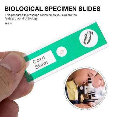 48 Pcs Microscope Slides English Tags Kids Science Kits