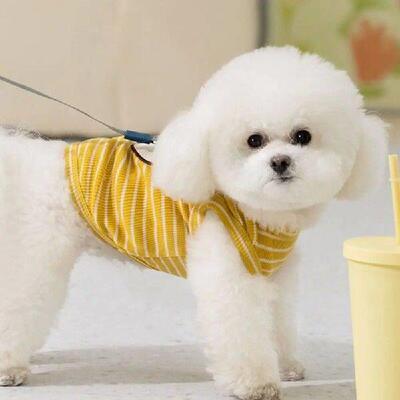 Pet Costumes Cartoon Pet Vest Summer Thin Bear Striped