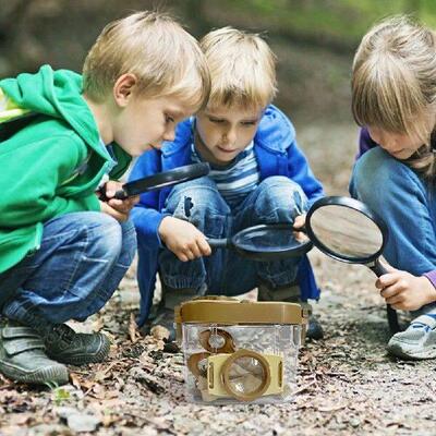 Magnifying Glass Insect Inspection Box with Tweezers Small
