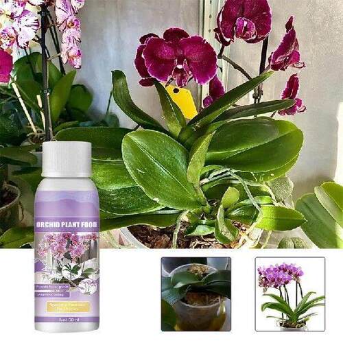 Orchid Fertilizer 50ml Plant Growth Enhancer Supplement