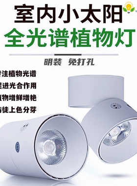植物射灯全光谱太阳光家用植物墙免开孔筒灯明装室内绿植生长灯
