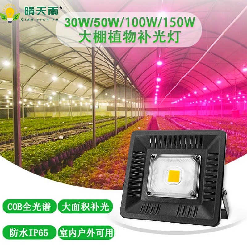 全光谱植物生长灯 月季专用补光灯LED仿太阳灯室内大棚花卉补光灯