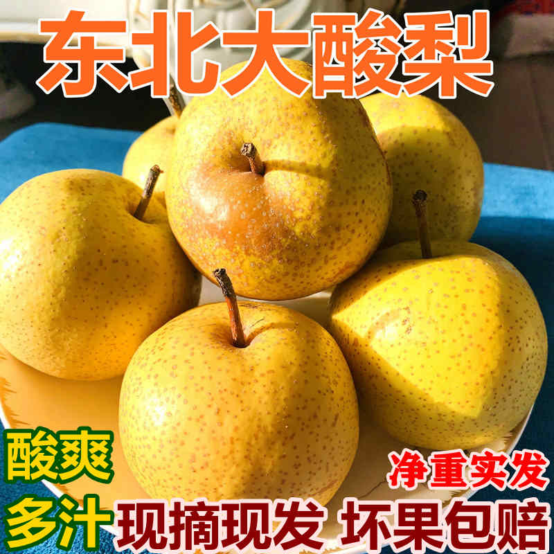 酸爽多汁东北大酸梨细皮无渣