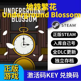 steam正版地铁繁花激活码CDK入库Underground Blossom全DLC全球区