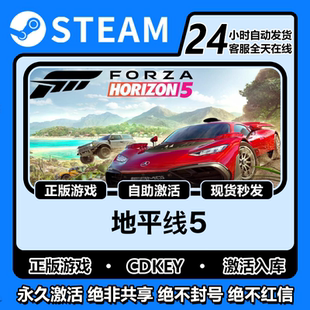 steam极速竞速:地平线5激活码在线畅玩DLC电脑单机游戏兑换码入库