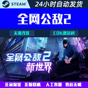 全网公敌2 新世界 PC STEAM中文游戏 CDK激活码国区/全球区