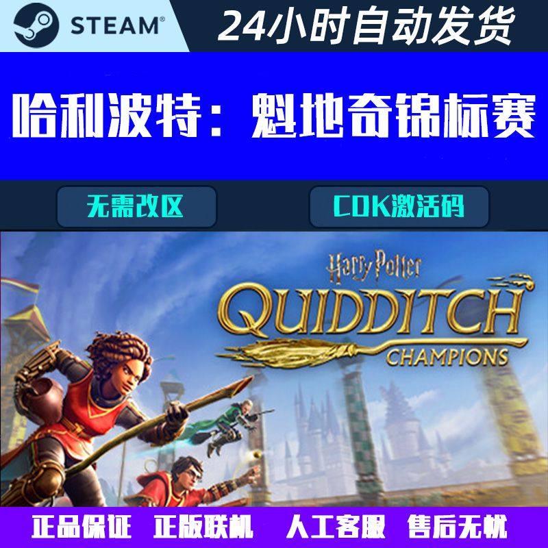 哈利波特魁地奇锦标赛 Steam电脑游戏CDK激活码全球区国区